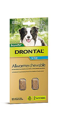 Drontal 2024 allwormer puppy