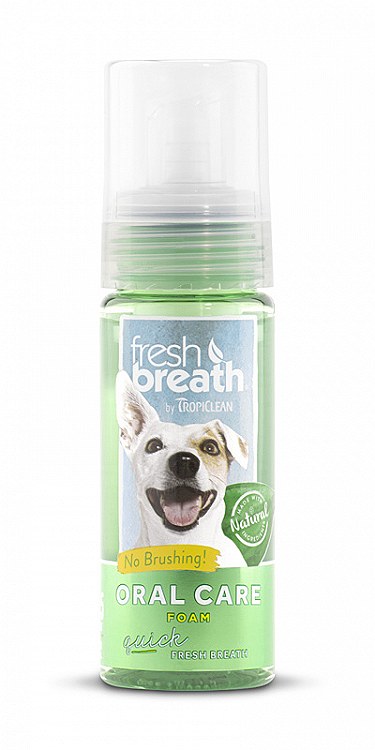 Fresh breath oral care foam sale