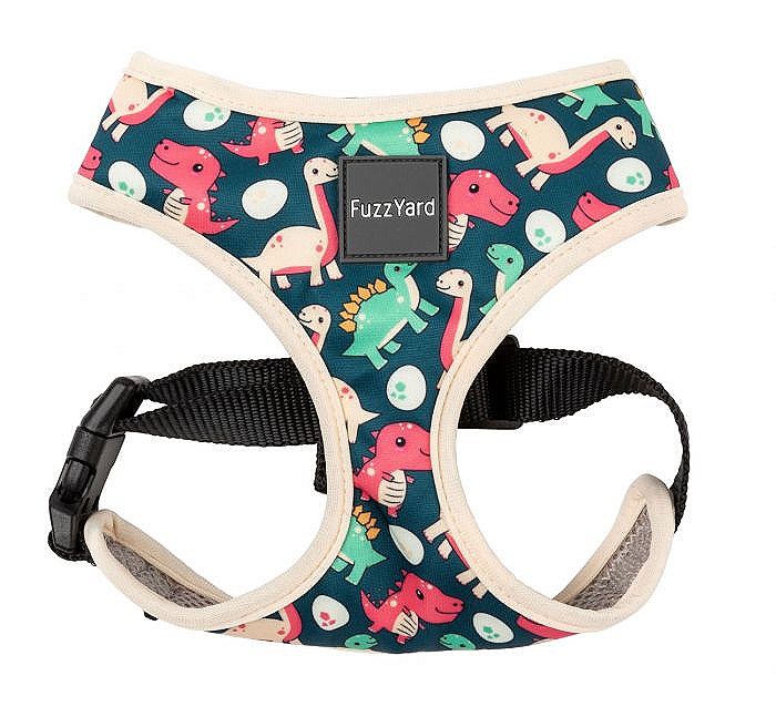 dinosaur dog harness