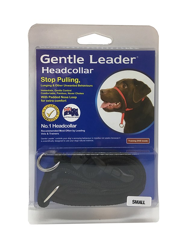 control headcollar dog