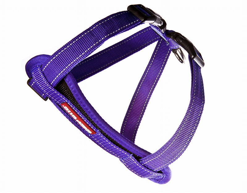 purple dog harness large