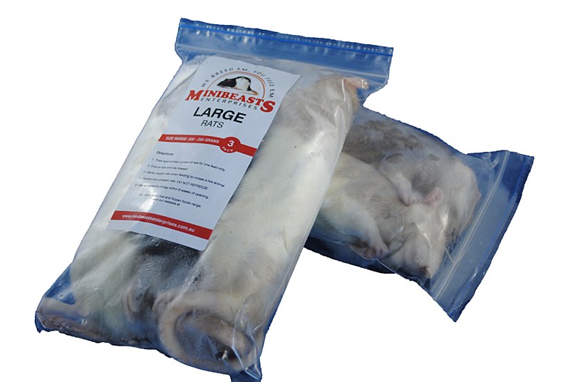 Minibeasts Rats Large Frozen Reptile Food (3 Pack) Mega Pet Warehouse