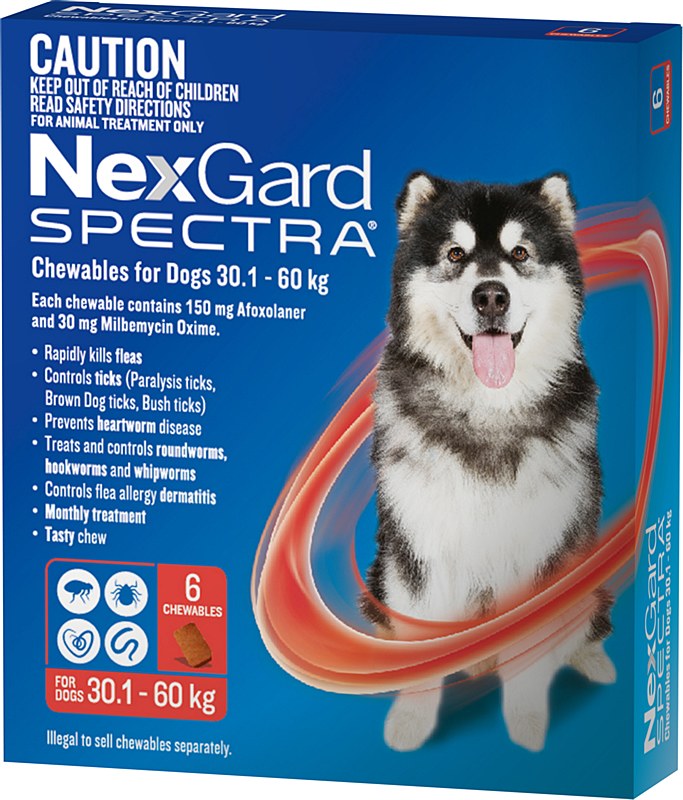 NexGard Spectra Wormer and Flea Chew for Dogs 30.1kg to 60kg 6 Pack Mega Pet Warehouse