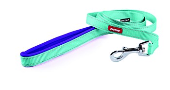 Kazoo Dog Lead Active Nylon 1.8m x 1.6cm Aqua &amp; Purple