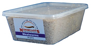 Minibeasts Mealworms 100g Live Reptile Food