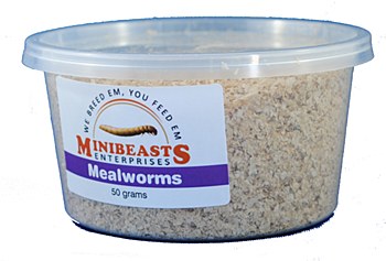 Minibeasts Mealworms 50g Live Reptile Food