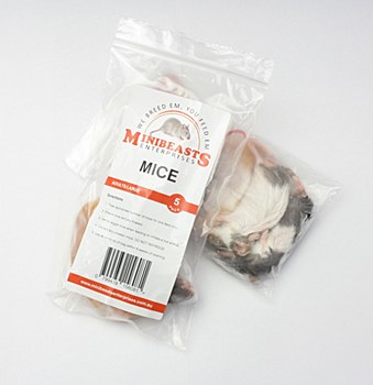 Minibeasts Mice Large Frozen Reptile Food (5 Pack)