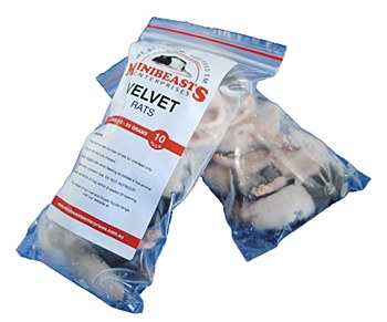 Minibeasts Rats Velvet 10-25g Frozen Reptile Food (10 Pack)