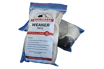 Minibeasts Rats Weaner 45-75g Frozen Reptile Food (3 Pack)