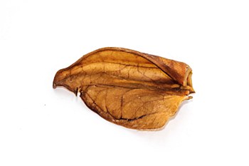 Pigs Ear Dog Treat