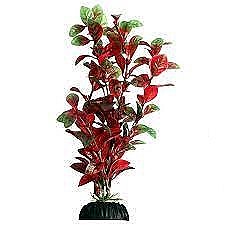 Aqua One Ecoscape Artificial Plant Hygro Red Medium