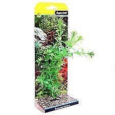 Aqua One Ecoscape Artificial Plant Ludwigia Green Medium