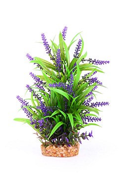Kazoo Plant Combination Thin Leaf with Purple Flower 30cm