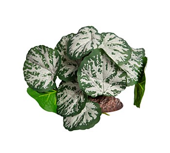 Reptile One Replica Plant Brunnera Green &amp; Silver with Ceramic Base Medium