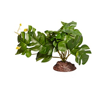 Reptile One Replica Plant Rhapidophora Green with Ceramic Base Medium