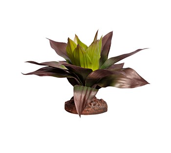 Reptile One Replica Plant Spathacea Green &amp; Red with Ceramic Base Medium