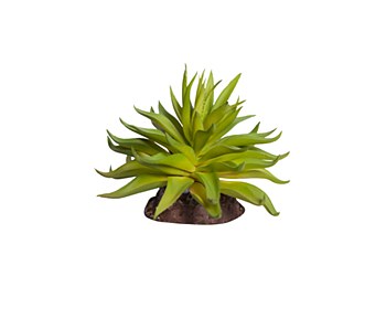 Reptile One Replica Plant Carpobrotus Green with Ceramic Base Mini