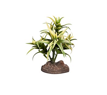 Reptile One Replica Plant Flexuosa Green with Ceramic Base Small