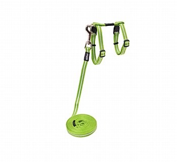 Rogz Control Cat Harness &amp; Lead Set AlleyCat Lime Small