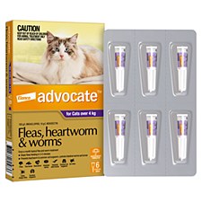 Advocate for dogs chemist warehouse best sale