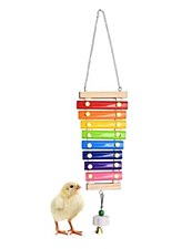 Avi One Musical Glockenspiel Chicken Toy