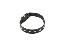 Buckley Leather Dog Collar with 1 Row of Studs 50cm