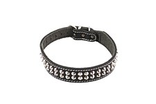 Buckley Leather Dog Collar with 2 Rows of Studs 55cm