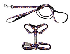 FuzzYard Caturday Night Fever Cat Walking Set