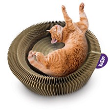 Kazoo Kitty Accordion Cardboard Bed With Ball Cat Toy