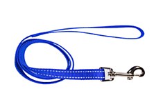 Montys Dog Lead Reflective Thread 25mm x 120cm Blue