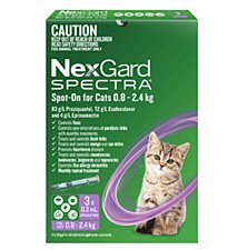 NexGard Spectra Wormer and Flea Chew for Dogs 15.1kg to 30kg (3 Pack) -  Mega Pet Warehouse