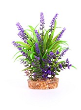 Kazoo Plant Combination Thin Leaf with Purple Flower 20cm