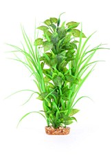 Kazoo Plant Combination Thin Leaf with Spot Flower 30cm