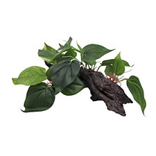 iPetz Plastic Plant on Driftwood