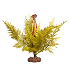 Reptile One Replica Plant Eagle Fern Green with Ceramic Base Large