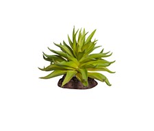 Reptile One Replica Plant Carpobrotus Green with Ceramic Base Mini