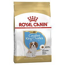 Royal Canin Cavalier King Charles Junior 1.5kg Dry Dog Food