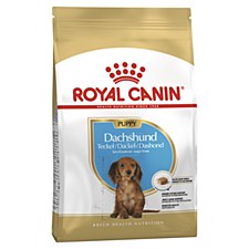 Royal Canin Dachshund Junior 1.5kg Dry Dog Food