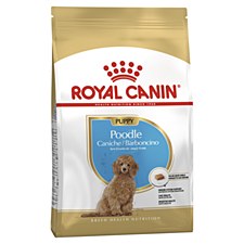 Royal Canin Poodle Junior 3kg Dry Dog Food