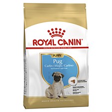 Royal Canin Pug Junior 1.5kg Dry Dog Food