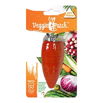 Veggie Patch Carrot to Gnaw Small Pet Chew Toy