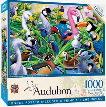 Audubon: Colorful Companions