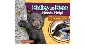 Bailey the Bear Needs Help!