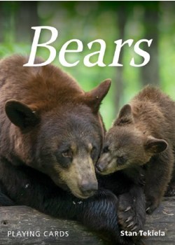 Bears Playing Cards