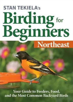 Birding for Beginners: Northeast