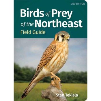 Birds of Prey of Northeast Field Guide