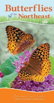 Butterflies of the Northeast