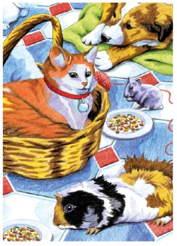 Color Pencil by Number: Family Pets