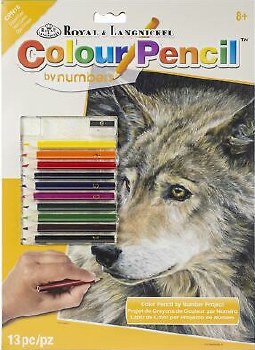 Color Pencil by Number: Curious Eyes
