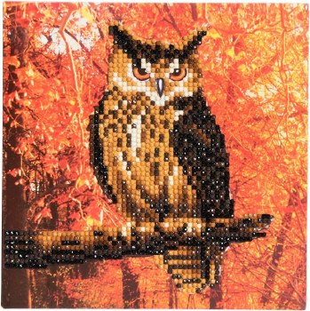 Crystal Art Card Kit Autumn Owl